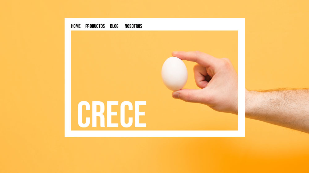 página web crece